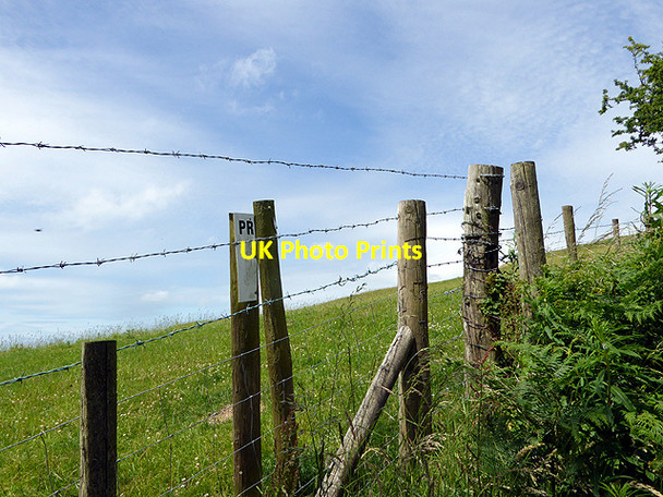 Photo 6"x4" The upper extent of Pant Da Nature Reserve Nantyronen Station c2015