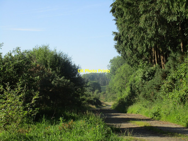 Photo 6"x4" Track at Macreddin Aughrim c2015