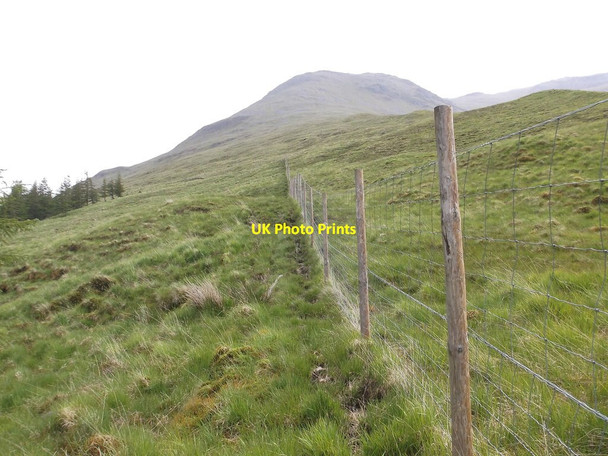Photo 6"x4" Deer fence on Beinn Chuirn Allt Garbh Choirean c2015