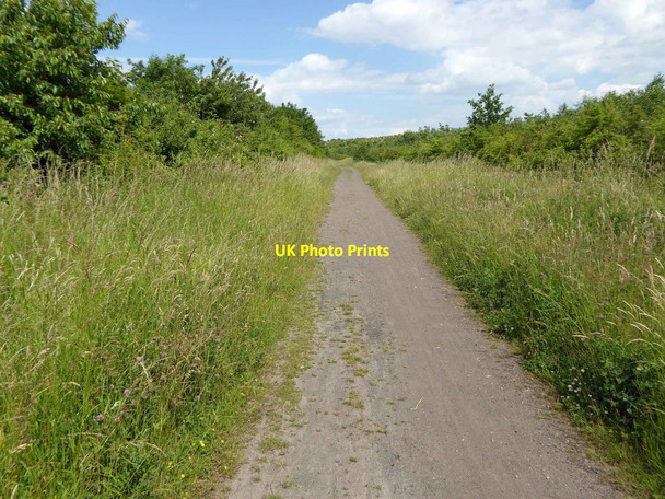 Photo 6"x4" Trans Pennine Trail Toll Bar Bentley\/SE5605 c2015