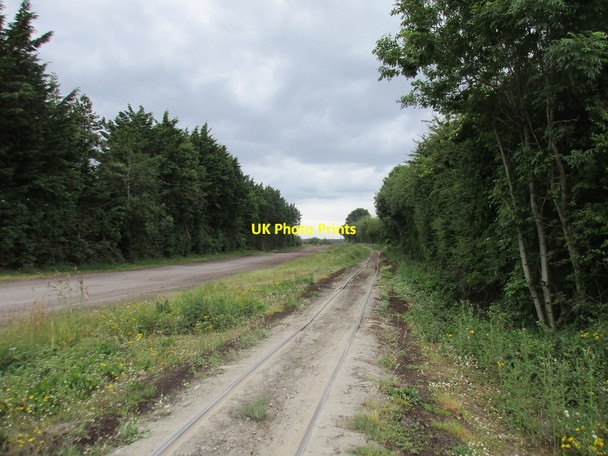 Photo 6"x4" Narrow gauge railway crossing Belmont Road Clonfinlough c2015