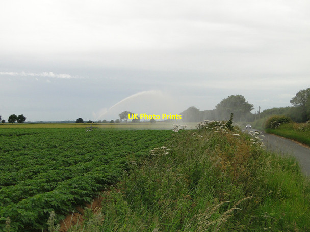 Photo 6"x4" Irrigating the potato crop at Clippesby Clippesby c2015