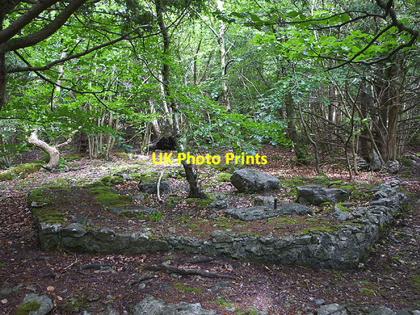 Photo 6"x4" Ruined foundations, King William's Hill, Eaves Wood Elmslack c2015