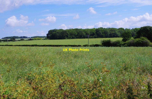 Photo 6"x4" Fields near Kilkenny Lane, near Carterton,Oxon Carterton\/SP2806 c2015