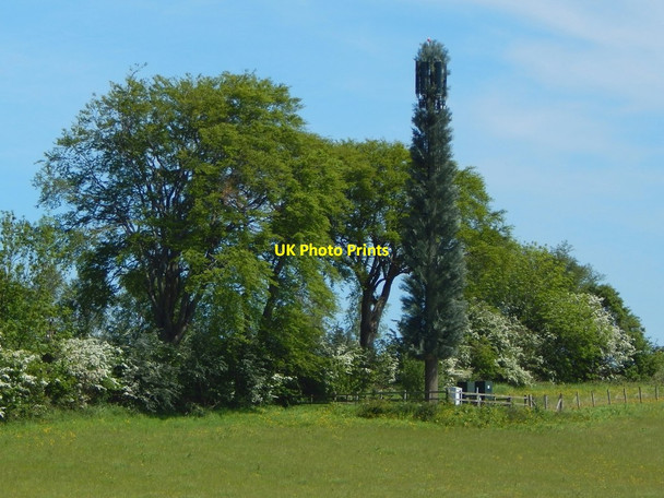 Photo 6"x4" Mobile phone mast Bearsden c2015