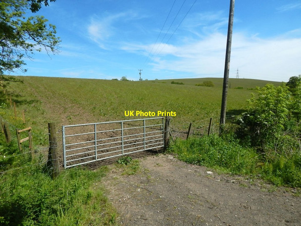 Photo 6"x4" Field gate beside Cleddans Road Bearsden c2015