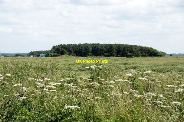 Photo 6"x4" Fields and woodland, Marsh Lane, Ince Blundell Lady Green\/SD3103 c2015