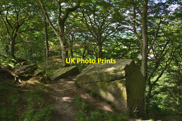 Photo 6"x4" Crags in Ackroyd's Wood, near Otley Otley\/SE2045 c2015