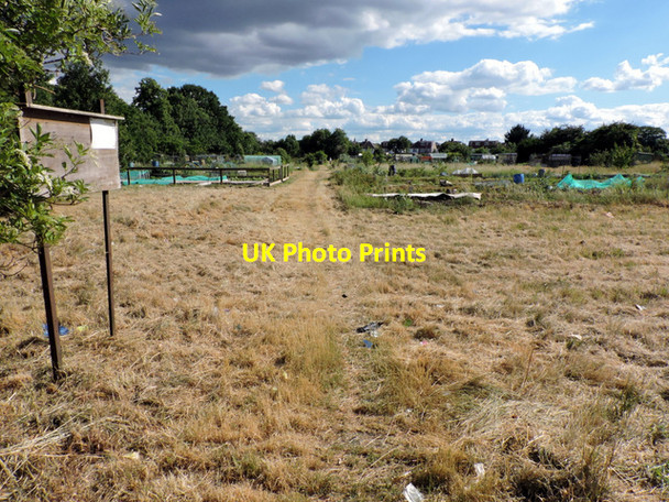 Photo 6"x4" Lampton Park allotments Hounslow c2015
