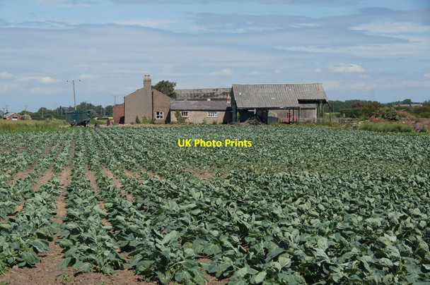 Photo 6"x4" Moss Farm, Gorsey Lane, Hightown Hightown\/SD2903 c2015