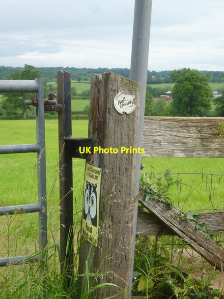 Photo 6"x4" Three Choirs Way at Kilcot Kilcot c2015
