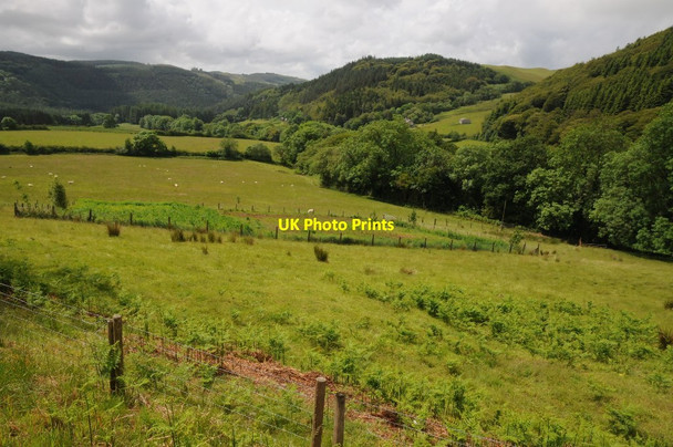 Photo 6"x4" The Nant Peiran valley Cwmystwyth c2015