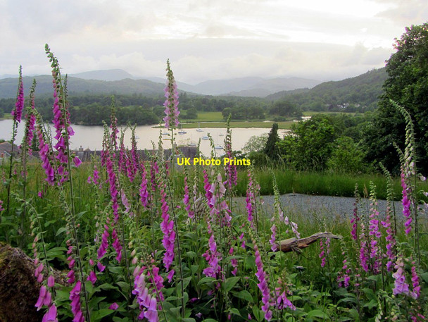 Photo 6"x4" Waterhead Bay from path to Jenkin Crag Ambleside c2015