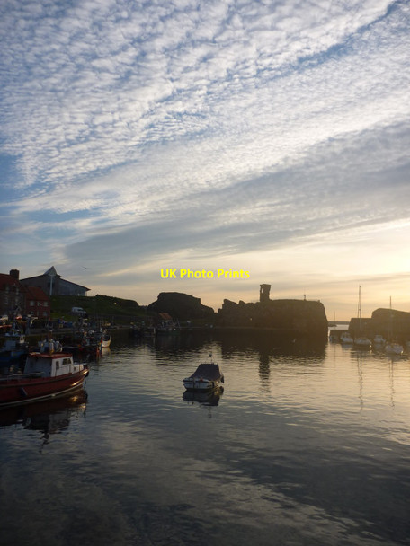 Photo 6"x4" Coastal East Lothian : Early Summer At Victoria Harbour, Dunbar Dunbar c2015