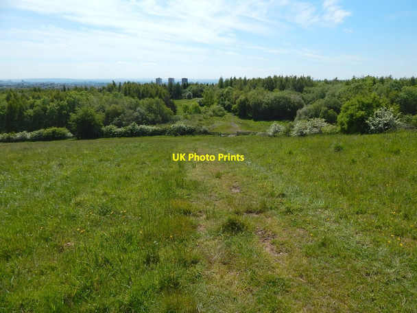Photo 6"x4" View across field Bearsden c2015