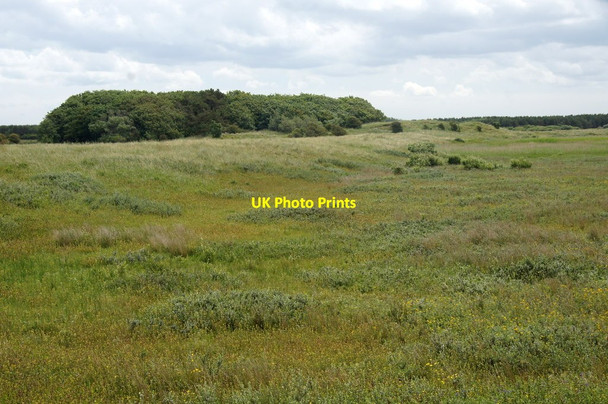 Photo 6"x4" Dune slack on Cabin Hill Nature Reserve, Formby Formby c2015