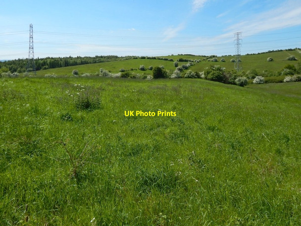 Photo 6"x4" The course of the Antonine Wall Bearsden c2015 P1