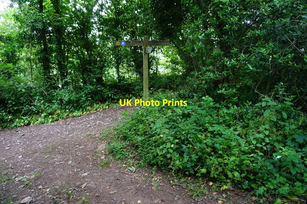 Photo 6"x4" Path junction Combe Fishacre c2015