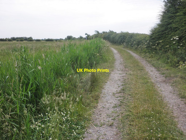 Photo 6"x4" Track to Ham Farm Wick\/ST3253 c2015