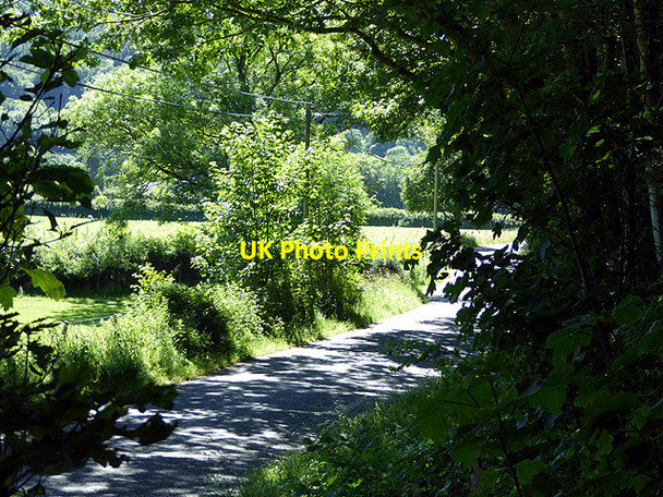 Photo 6"x4" Light and shade in Cwm Rheidol Nantyronen Station c2015