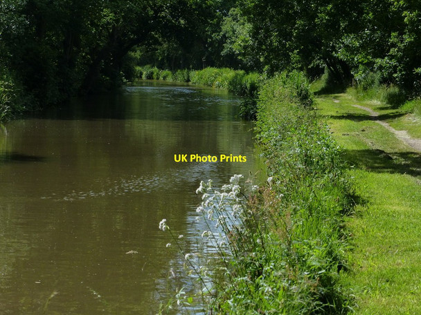 Photo 6"x4" Trent & Mersey Canal near Handsacre Rileyhill c2015