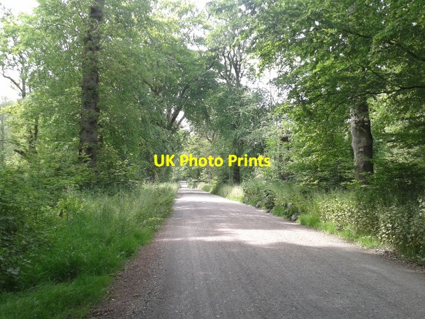 Photo 6"x4" The Grand Avenue, looking north-west Durley\/SU2364 c2015