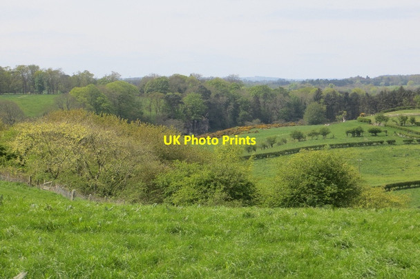 Photo 6"x4" River Coquet, Morwick Eastfield Hall c2015