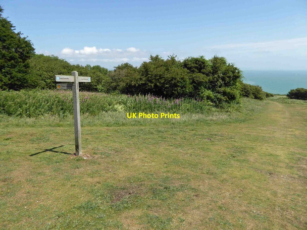 Photo 6"x4" Footpath junction signpost on the South Downs Way Meads\/TV6097 c2015