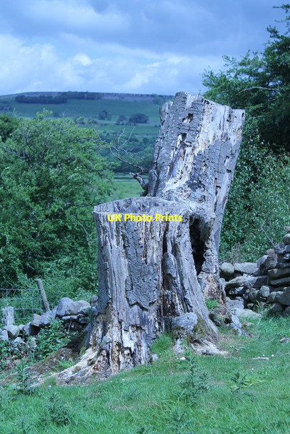 Photo 6"x4" Wensleydale, close to the River Ure Swinithwaite c2015