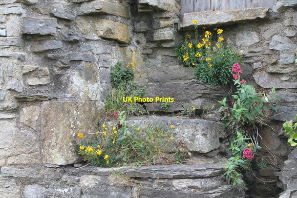 Photo 6"x4" Richmond Castle Richmond\/NZ1701 c2015