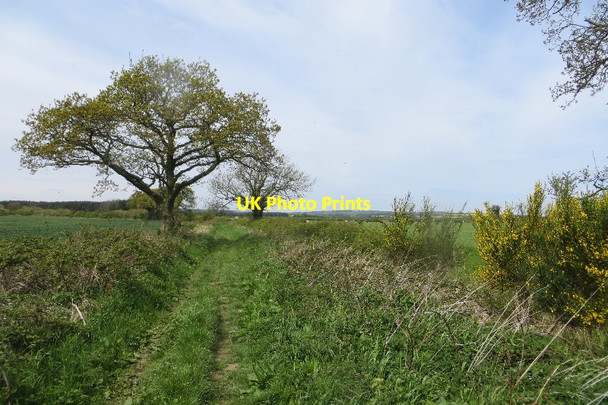 Photo 6"x4" Rake Lane Guyzance c2015