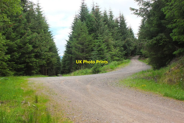Photo 6"x4" Road junction, Cardrona Forest Laverlaw c2015