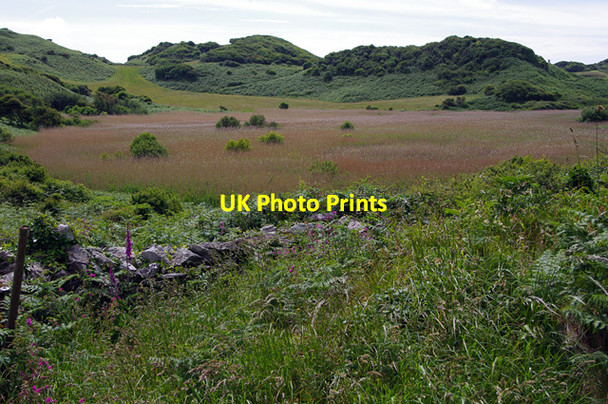 Photo 6"x4" Marsh east of Llanlleiana Llanbadrig c2015