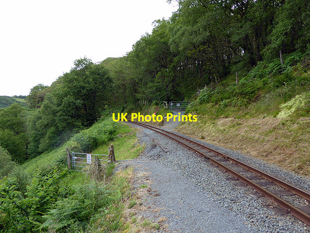Photo 6"x4" Bridleway crossing the Vale of Rheidol Railway Devil's Bridge\/Pontarfynach c2015