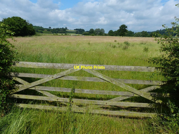 Photo 6"x4" Gate and field next to the Trent & Mersey Canal Salt c2015