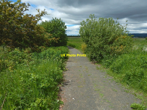 Photo 6"x4" Path to Inchinnan Business Park Paisley c2015