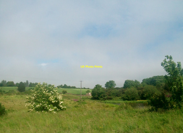 Photo 6"x4" Bogland east of the A24 (Drumaness Road) Drumaness c2015