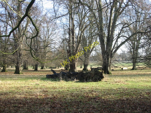 Photo 6"x4" Parkland to the east of Rectory Lane Barham\/TR2050 c2009