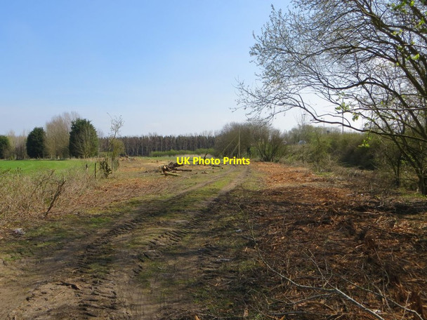 Photo 6"x4" Trees Have Gone Chilton\/SU4885 c2015