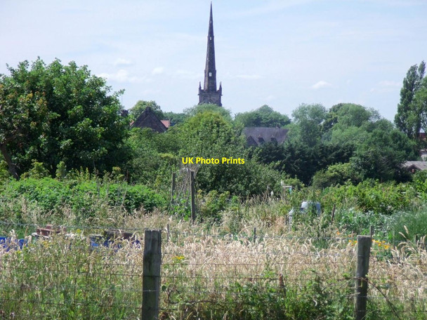 Photo 6"x4" Monsom Lane Allotments Repton c2015