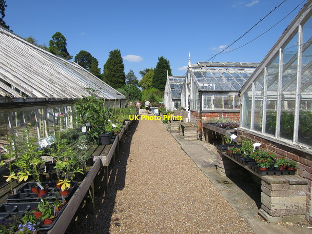 Photo 6"x4" Glasshouses at The Walled Nursery Gun Green c2015