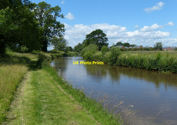 Photo 6"x4" Trent & Mersey Canal towards Weston Weston\/SJ9727 c2015