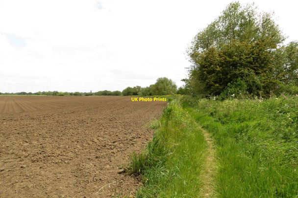 Photo 6"x4" The Thames Path to Clifton Hampden Appleford c2015 P1