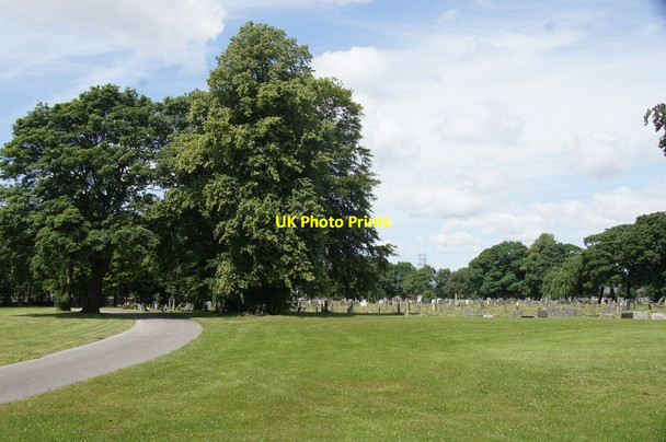 Photo 6"x4" West Derby Cemetery Dog & Gun c2015