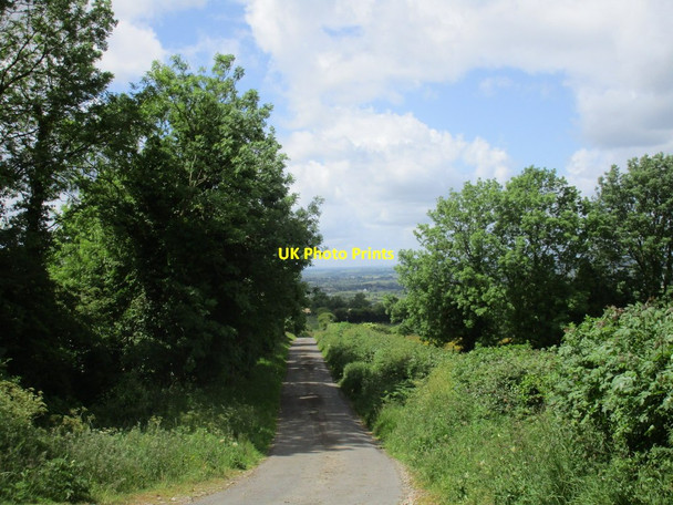 Photo 6"x4" Lane at Ballinakill Upper Dunkerrin c2015