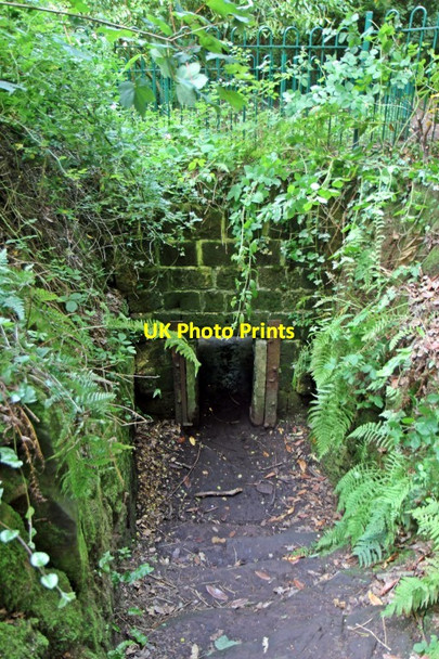 Photo 6"x4" Bear pit, Eastham Country Park Eastham Ferry c2015