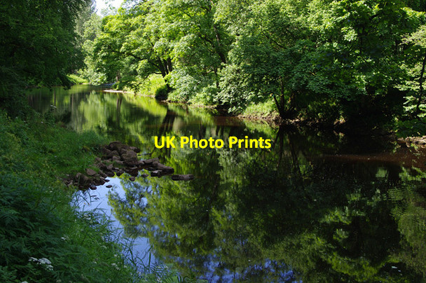 Photo 6"x4" River Wharfe, Strid Wood Storiths c2015