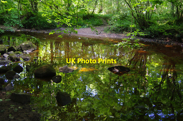 Photo 6"x4" River Wharfe, Strid Wood Storiths c2015 P1