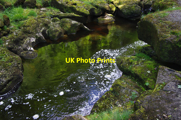 Photo 6"x4" The Strid Storiths c2015