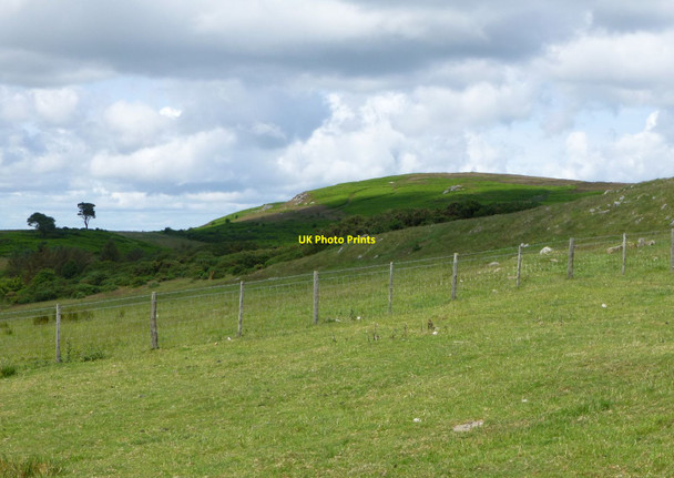 Photo 6"x4" Looking towards West Plantation East Horton c2015